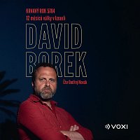 David Borek – Krvavý rok 5784