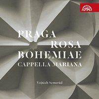 Přední strana obalu CD Praga Rosa Bohemiae - hudba renesanční Prahy