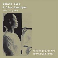 Damien Rice – Unplayed Piano