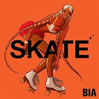 Přední strana obalu CD SKATE