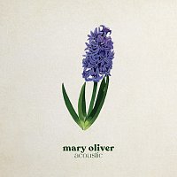 Caroline Spence – Mary Oliver [Acoustic]