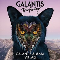 True Feeling (Galantis & shnd? VIP Mix)