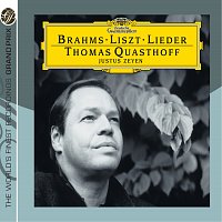 Přední strana obalu CD Brahms / Liszt: Lieder