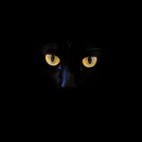 Echoing Creed – The Name of the Assassin