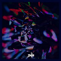 Přední strana obalu CD Dahlia