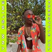 Přední strana obalu CD Freestyle LOL