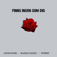 Rasmus Gozzi, Adinatoor, Norris – Finns ingen som dig