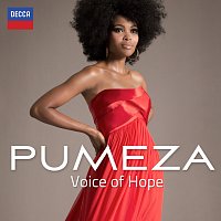 Přední strana obalu CD Voice Of Hope