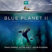 Přední strana obalu CD Blue Planet II [Original Television Soundtrack]