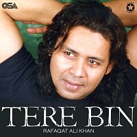 Rafaqat Ali Khan – Tere Bin