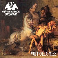 Přední strana obalu CD Voit olla mies