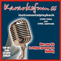 Přední strana obalu CD Herz aus Eis - Instrumental - Karaoke