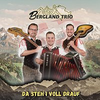 Berglandtrio – Da steh i voll drauf