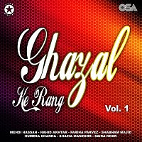 Různí interpreti – Ghazal Ke Rang, Vol. 1