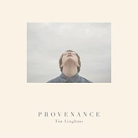 Tim Linghaus – Provenance