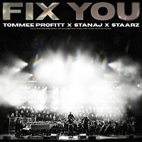 Tommee Profitt, Stanaj, Staarz – Fix You