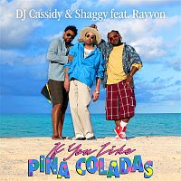 DJ Cassidy & Shaggy – If You Like Pina Coladas (feat. Rayvon)