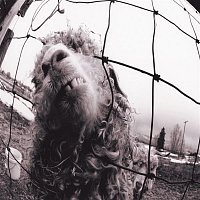 Pearl Jam – vs. Expanded Edition (3 Bonus Tracks)