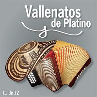 Fiesta Vallenata – Vallenatos De Platino Vol. 11
