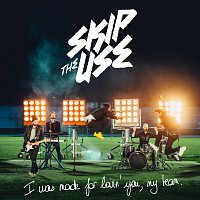 Skip the Use – I Was Made For Loving You (My Team)
