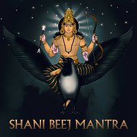Rahul Saxena – Shani Beej Mantra