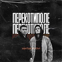 YAKTAK, DOVI – ????????????