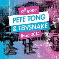 Přední strana obalu CD All Gone Pete Tong & Tensnake Ibiza 2014