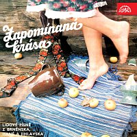 Brněnští Gajdoši – Zapomínaná krása / Lidové písně z Brněnska, Hané a Jihlavska