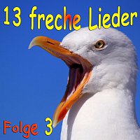Různí interpreti – 13 freche Lieder Folge 3