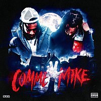 i300 – COMME MIKE