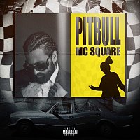 MC Square, thekidd.wav – Pitbull