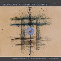 Nels Cline – Down Close