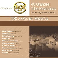 Přední strana obalu CD RCA 100 Anos De Musica - Segunda Parte (40 Diferentes Grandes Trios - Unica E Inigualable Coleccion)