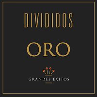 Divididos – Serie Oro