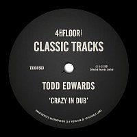 Todd Edwards – Crazy In Dub