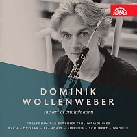 Dominik Wollenweber – The Art of English Horn Hi-Res