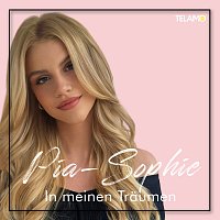 Přední strana obalu CD In meinen Traumen