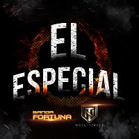 Banda Fortuna, Noel Torres – El Especial