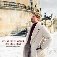 David Deyl, Symfonický orchestr Českého rozhlasu & Dětský pěvecký sbor Českého rozhlasu – Wo, kleiner Vogel, ist dein Nest (Drei Haselnusse fur Aschenbrodel)