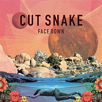 Cut Snake – Face Down