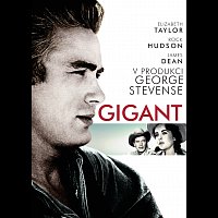 Různí interpreti – Gigant DVD