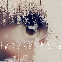 Evanescence – Bring Me to Life (Synthesis)