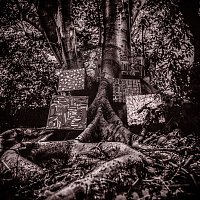 Kamasi Washington – Harmony of Difference