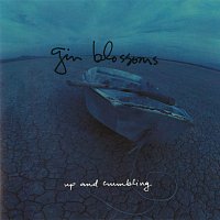 Gin Blossoms – Up And Crumbling