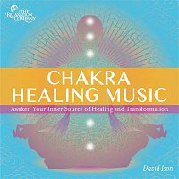 David Ison – Chakra Healing Music