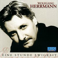 Wolfgang Herrmann – Eine Stunde Ewigkeit