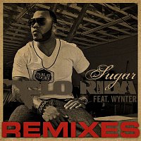 Flo Rida – Sugar Remixes