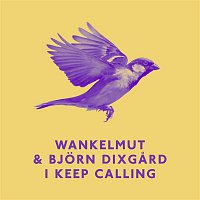 Wankelmut & Bjorn Dixgard – I Keep Calling