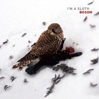 Přední strana obalu CD Bosom