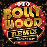 Various  Artists – The Bollywood Remix Project 2017
